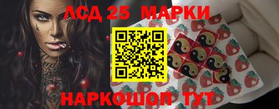 a pvp Новозыбков