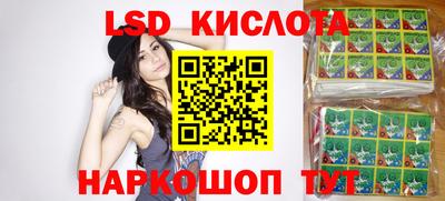 гашик Новокубанск