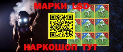 гашик Новокубанск
