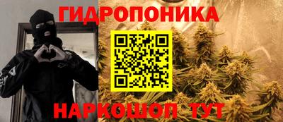a pvp Новозыбков