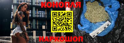 гашик Новокубанск