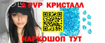 a pvp Новозыбков