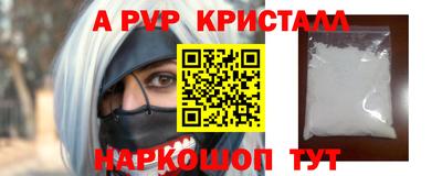 a pvp Новозыбков