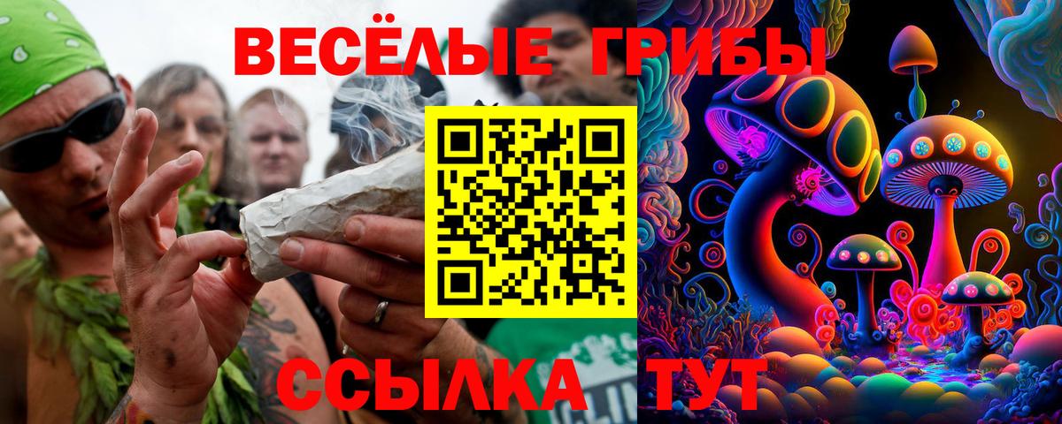 Галлюциногенные грибы Psilocybine cubensis Переславль-Залесский